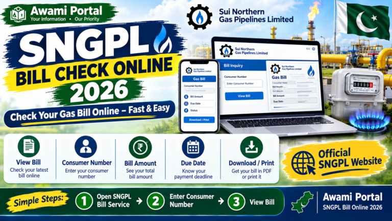 SNGPL Bill Check Online